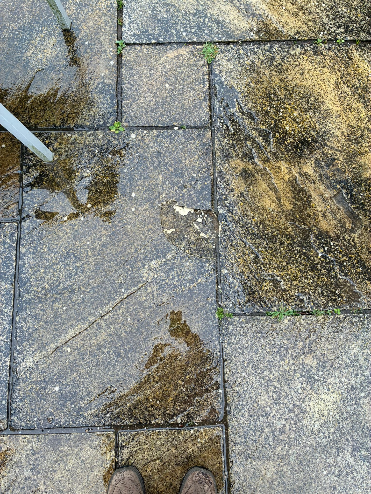 Patio surface before repair — weathered with moss and weeds